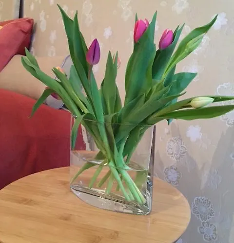 Apartmán Wohnzimmer